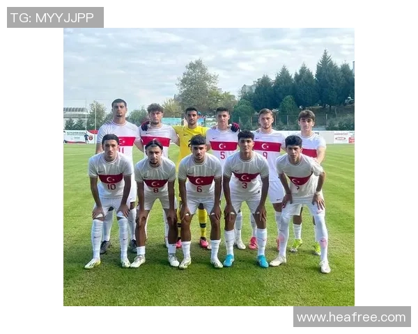 土耳其对瑞典比赛分析及笔者推荐策略分享