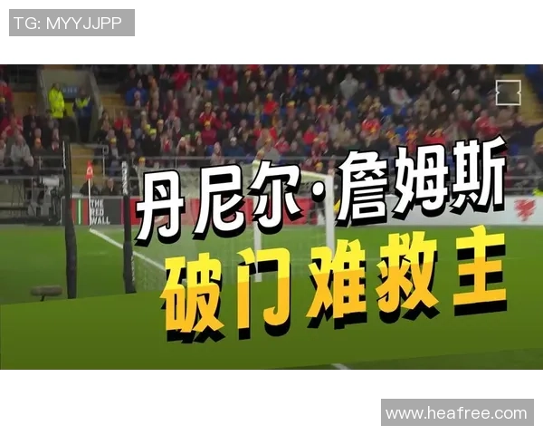 波黑对阵威尔士精彩直播全程回顾及赛后分析