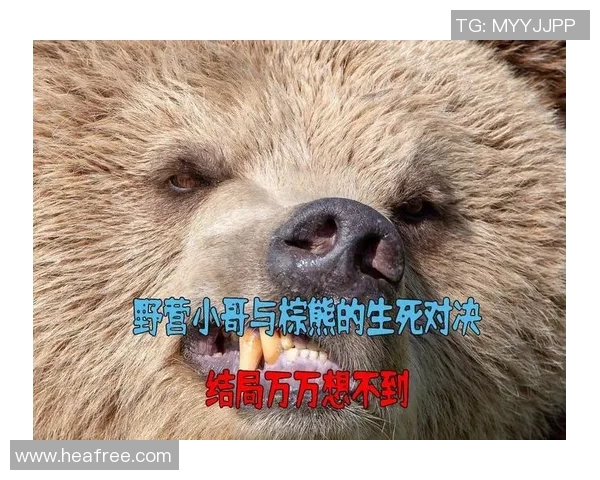 棕熊与二十只狼的生死对决谁能在森林中称王称霸